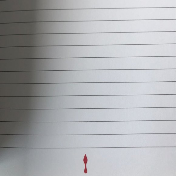 Christian Louboutin Note Book - Picture 8 of 12